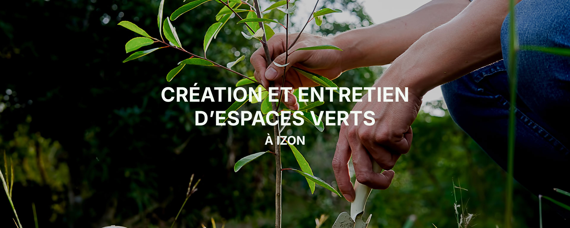 Entretien et aménagement paysager à Izon